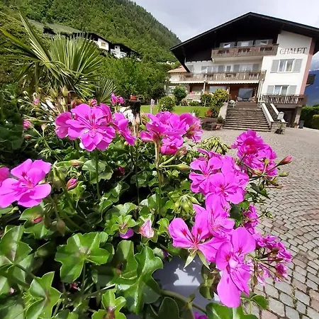 Guest house Anna *